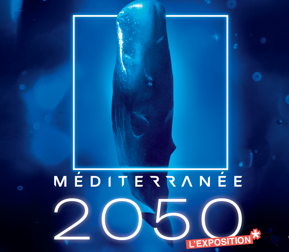 L'Istituto oceanografico di Monaco presenta la mostra "Méditerranée 2050"