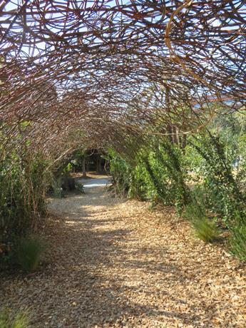 Nizza: a zonzo fra i fiori del Festival des Jardins (Foto) -  