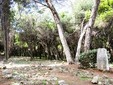 Cimetière musulman de l'île Sainte-Marguerite © Mairie de Cannes