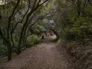 Franck Pourcel (né en 1965) Chemin d’accès au cimetière musulman de SainteMarguerite 2023 © F. Pourcel