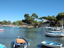 Port de l'Olivette, pointus © David Vincendeau