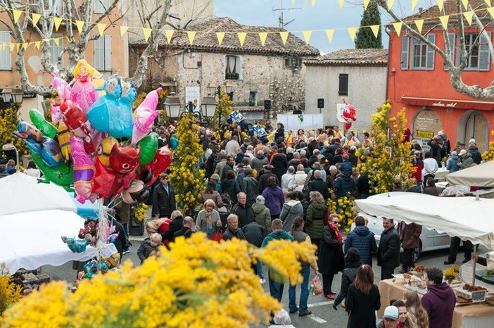 Biot, festa della mimosa