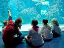 I bambini in visita al Museo Oceanografico (Foto: Facebook Museo Oceanografico Monaco)
