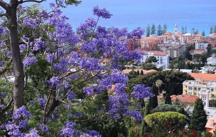 Bordighera, meta ideale per una vacanza su misura che offra svago, serenità e sicurezza