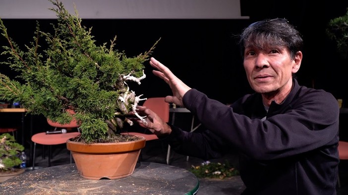 Il maestro Koji Hiramatsu alle prese con un bonsai