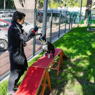 parco per cani Lys