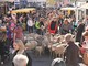 Cagnes, Fête de la Châtaigne