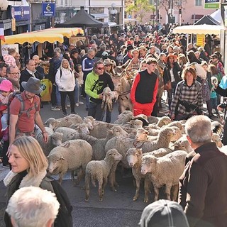 Cagnes, Fête de la Châtaigne