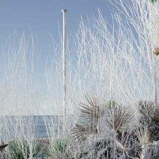 Angoli di Cannes, fotografie di Silvia Assin