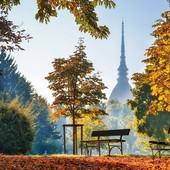 Il Foliage a Torino (Foto Valerio Minato)