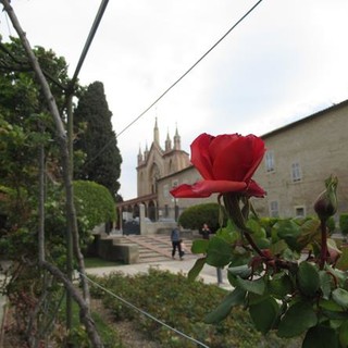 Fiori nel giardino di Cimiez a Nizza