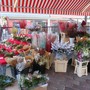 Il Mercato dei fiori di Cours Saleya si prepara al Natale 2022