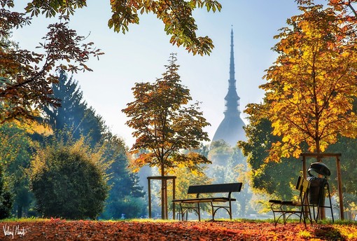 Il Foliage a Torino (Foto Valerio Minato)