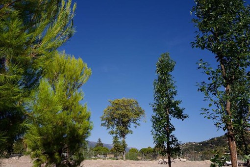 Prime piantumazioni nel Grand Parc de la Plaine du Var di Nizza - @Ville de Nice