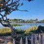 Isola di Sainte Marguerite, fotografie di Patrizia Gallo e Danilo Radaelli