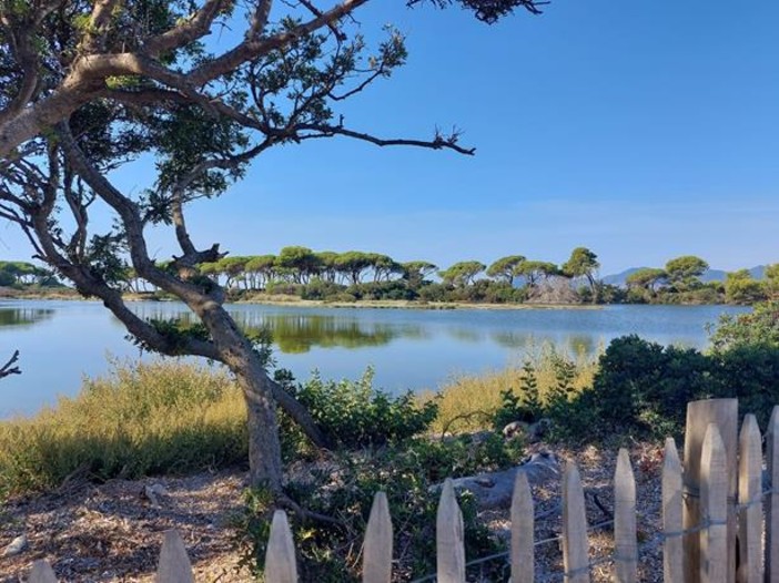 Isola di Sainte Marguerite, fotografie di Patrizia Gallo e Danilo Radaelli