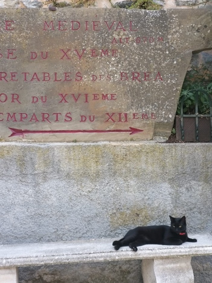 &quot;Gatto nero&quot;, fotografia di Luigi Picco