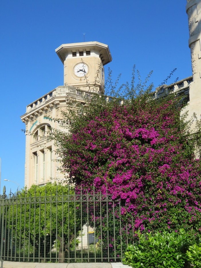 &quot;Liceo fiorito&quot;. di Alba Fiorini