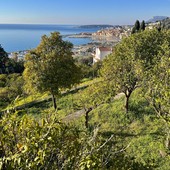 La Casetta di Mentone