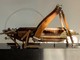 “La symphonie des insectes géants&quot;, una mostra all’Espace Culturel Lympia di Nizza