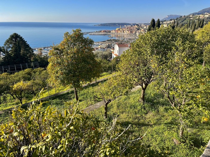 La Casetta di Mentone