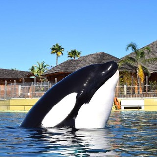 Marineland