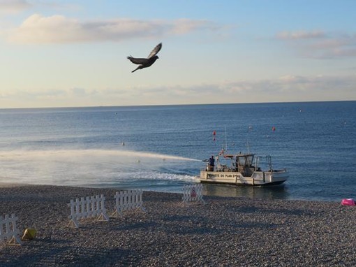 Nizza, l'imbarcazione che lava le spiagge