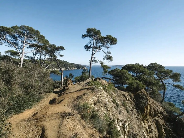 Provenza mediterranea, dove l’inverno è dolce