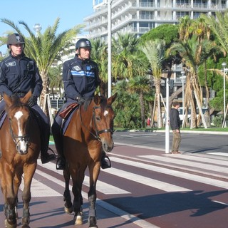 Nizza, la Brigade équestre della Polizia Municipale