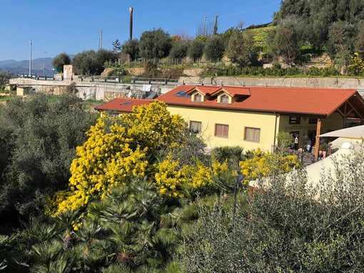 “Antichi Sapori” è un ristorante immerso nel verde, dove gustare piatti squisiti circondati dalla natura e da un ambiente cordiale