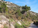 La “piste” che da Tourrettes Levens conduce ad Aspremont. Fotografie di Danilo Radaelli