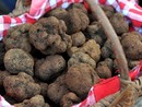 Villeneuve Loubet: domani il mercato profuma di tartufo