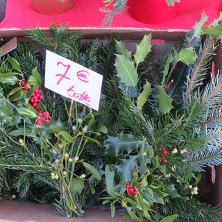 Mercato dei fiori Nizza