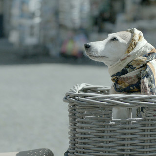 L’Italian Film Festival riparte a Cardiff con un candidato all’Oscar e sette première britanniche