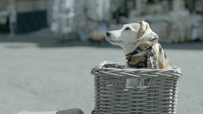 L’Italian Film Festival riparte a Cardiff con un candidato all’Oscar e sette première britanniche