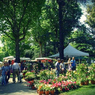 Fossano dà il benvenuto ad Expoflora con espositori provenienti da tutto il Piemonte e Liguria