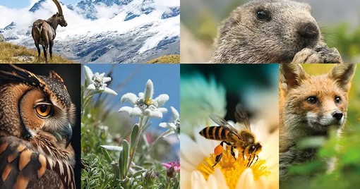 Nizza celebra la Settimana della Natura e la Giornata Internazionale della Biodiversità