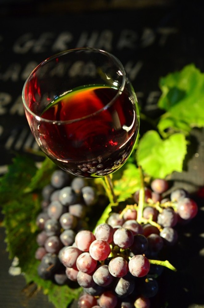 Le fasi cruciali della vinificazione: come ottenere un vino d’eccellenza