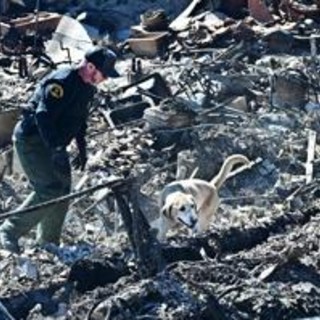 Incendi Los Angeles, 24 morti e emergenza continua