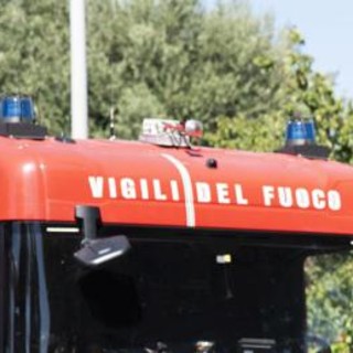 Albero cade su scuolabus nel Fiorentino