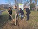 Sostenibilità, PiantiAmo il futuro: 200 alberi a Ferrara con il progetto di Nescafé