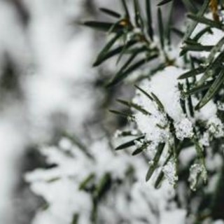 Freddo, raffiche di vento e neve sull'Italia: le previsioni meteo